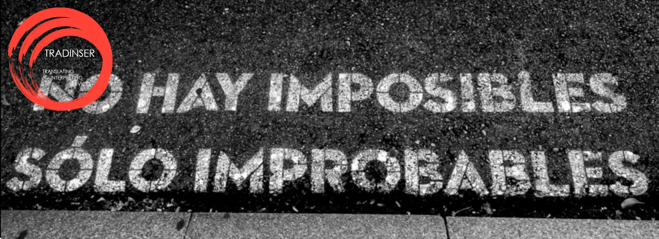 Ttraducciones sector literario TRADINSER - 91 021 93 20